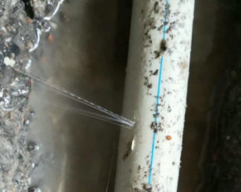 禹城卫生间测漏水多少钱