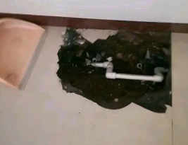 禹城卫生间测漏水多少钱